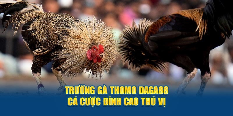 Quy định của nhà cái đã nói rõ mỗi thành viên chỉ được tạo 1 tài khoản duy nhất